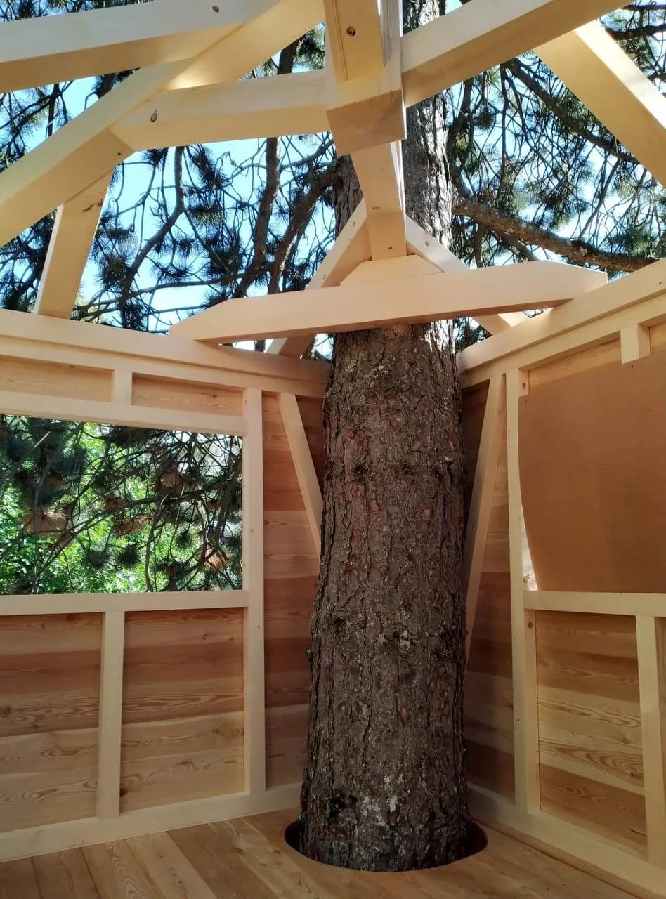 Intérieur d’une cabane en bois construite autour du tronc d’un arbre